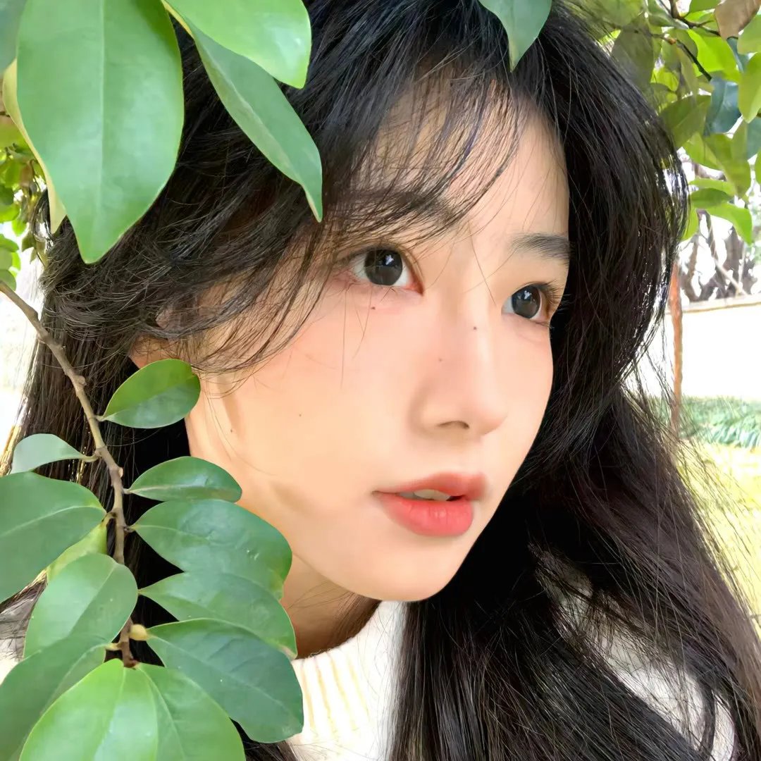 恶狼年代
